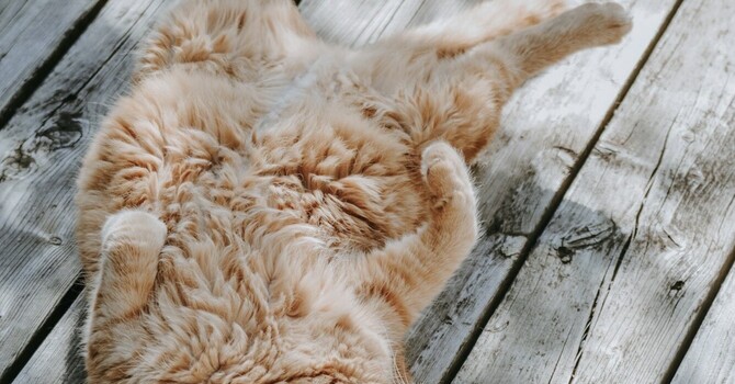 Relaxing Into Discomfort
